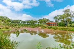 Chobe-Safari-Lodge-Bush-Lounge-1