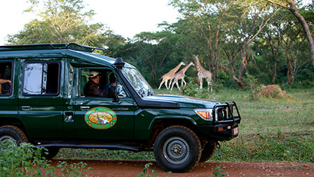 Uganda Wildlife Safari in Murchison Falls National Park